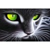 Special Cat With Charming Green Eyes 5D Diamond Diy Painting UK